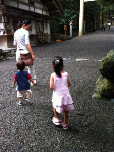 つばき１