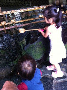 つばき３